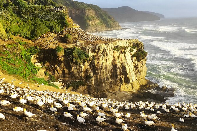 12 Day New Zealand Private Tour from Auckland to Queenstown - Key moments you’ll care about most