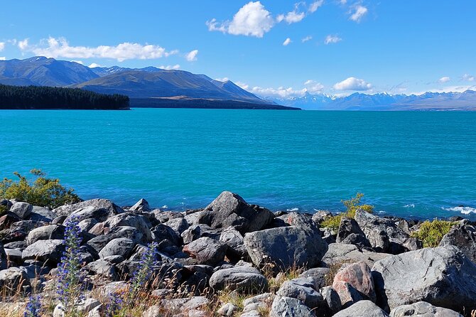12 Day New Zealand Private Tour from Auckland to Queenstown - Christchurch to Kaikōura or Akaroa: choosing coastlines with different personalities