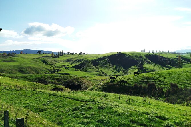 12 Day New Zealand Private Tour from Auckland to Queenstown - Mt Cook and Queenstown: walking, a helicopter option, then adrenaline on Lake Wakatipu