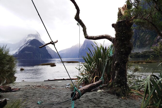 12 Day New Zealand Private Tour from Auckland to Queenstown - Price and logistics: where the value comes from (and where it doesn’t)