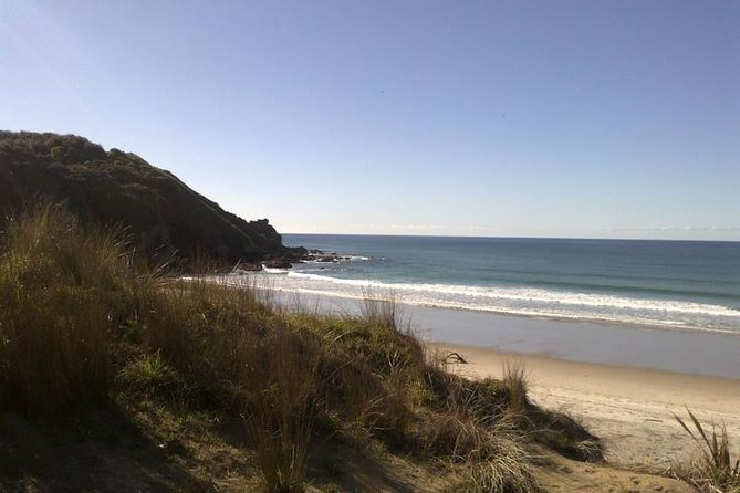 2 Hour Surf Lesson - Te Arai Beach - Te Arai Beach in North Auckland: why this spot works for first-timers