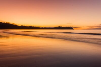 3.5 hour Sunset Tour on Waiheke Island - The 4:03 pm start: how to line up your afternoon