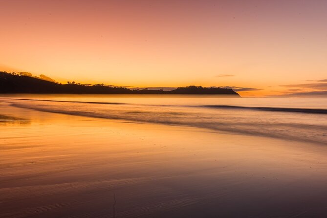 3.5 hour Sunset Tour on Waiheke Island - The 4:03 pm start: how to line up your afternoon