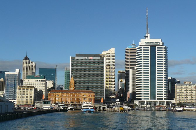 3 Day Bay Of Islands Tour from Auckland including Waitangi and Cape Reinga - Auckland to Paihia Harbour: The Start Feels Busy (In a Good Way)
