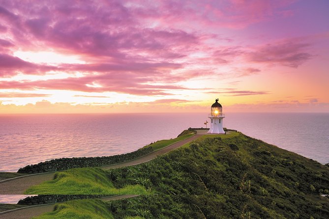 3 Day Bay Of Islands Tour from Auckland including Waitangi and Cape Reinga - Cape Reinga Day: Lighthouse Views, Puketi Kauri Forest, and Ninety Mile Beach