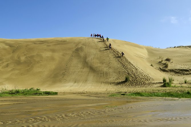 3 Day Bay Of Islands Tour from Auckland including Waitangi and Cape Reinga - Price and Value: Is $772.61 Worth It?