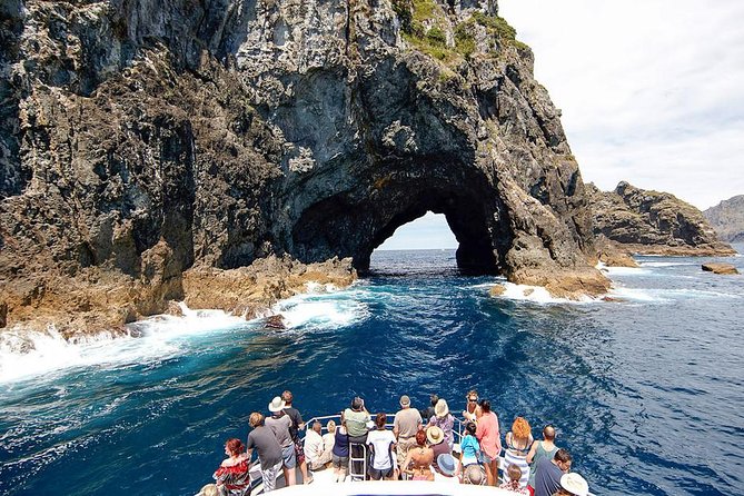 3 Day Bay Of Islands Tour from Auckland including Waitangi and Cape Reinga - The Reality of Transport: When Coach Days Feel Like a Marathon