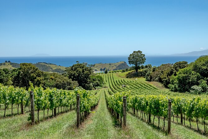 4.5-Hour Scenic Wine Tour with Private Guide & Up to 12 Tastings - Stop 5: Blackpool and Piritahi Marae (the cultural thread)