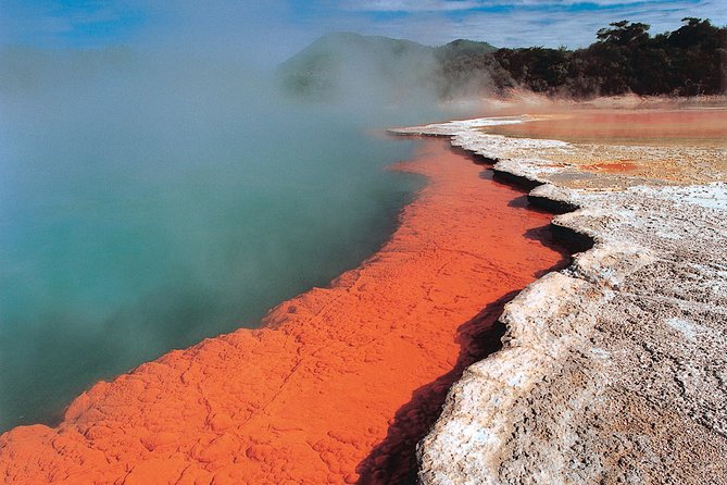 4-Day Auckland to Wellington via Rotorua Tour - Price and value: why $921.55 can make sense