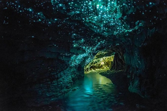 5-Day New Zealand North and South Island Highlights Tour - Key highlights at a glance