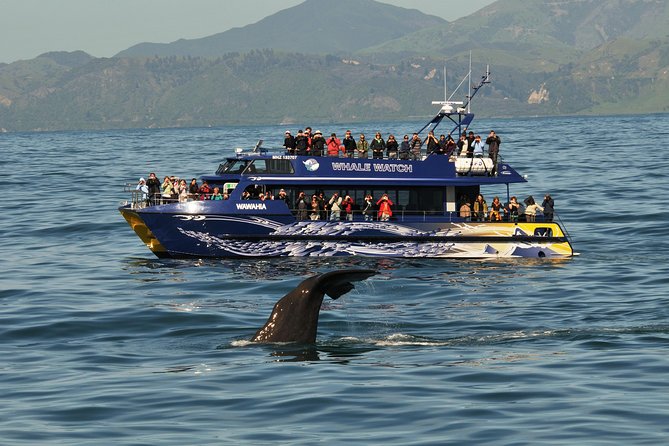 5-Day New Zealand North and South Island Highlights Tour - Day 3: Lake Taupo quick stop, then Wellington by coach