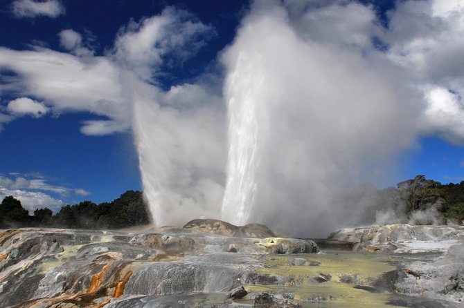 5-Day New Zealand North and South Island Highlights Tour - Where this itinerary shines (and where it can frustrate)