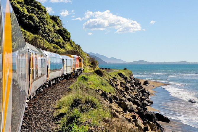 5-Day New Zealand North and South Island Highlights Tour - Who should book this 5-day highlights tour