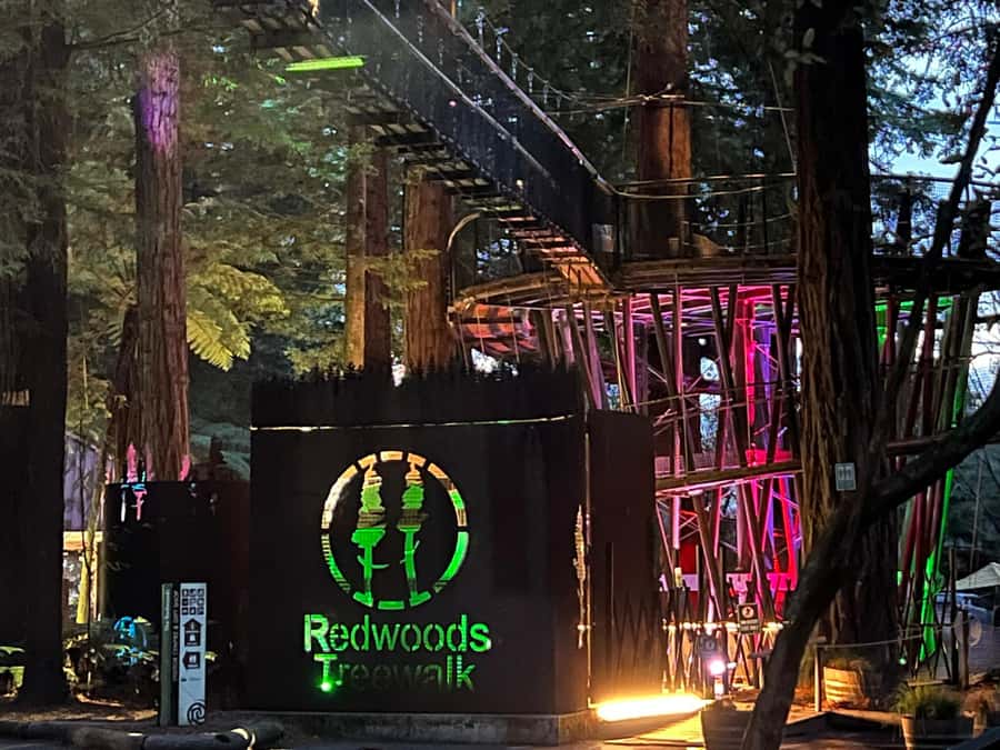 AKL: Te Puia Maori Haka, Kiwi Birds, Redwood & Blue Springs - Rotorua in a 12-hour rhythm: pickup times, drive time, and pacing