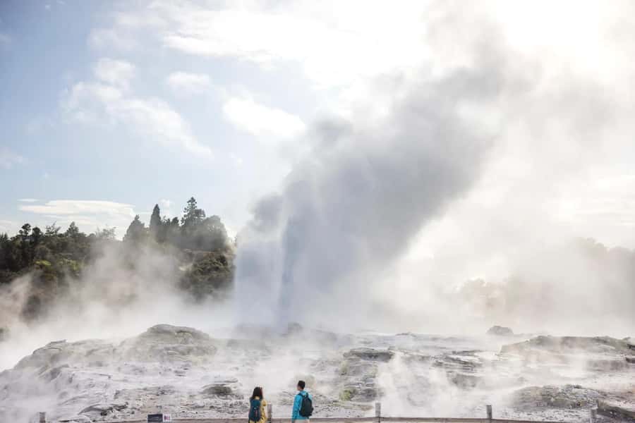 AKL: Te Puia Maori Haka, Kiwi Birds, Redwood & Blue Springs - Te Puia Rotorua Geothermal Park: Pohutu Geyser and mud pools on a guided schedule