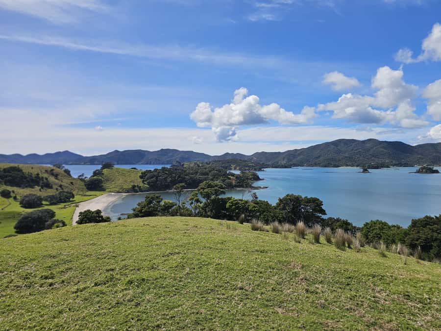 Auckland: 2-Day Bay of Islands Small Group Tour with Cruise - Opononi Beach pause: a calmer beat before Treaty history