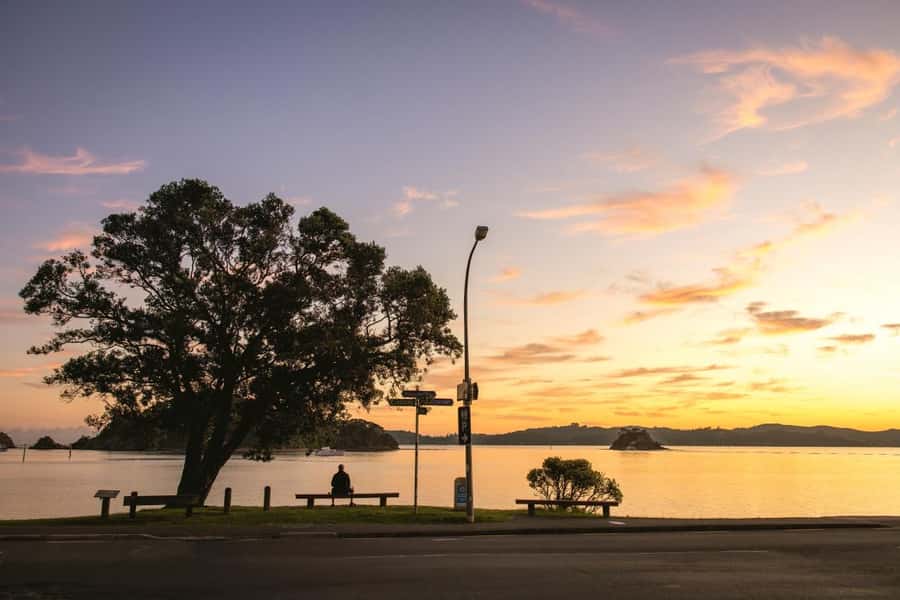 Auckland: 2-Day Bay of Islands Small Group Tour with Cruise - Auckland Harbour Bridge to the Kauri Museum: start where the trees matter