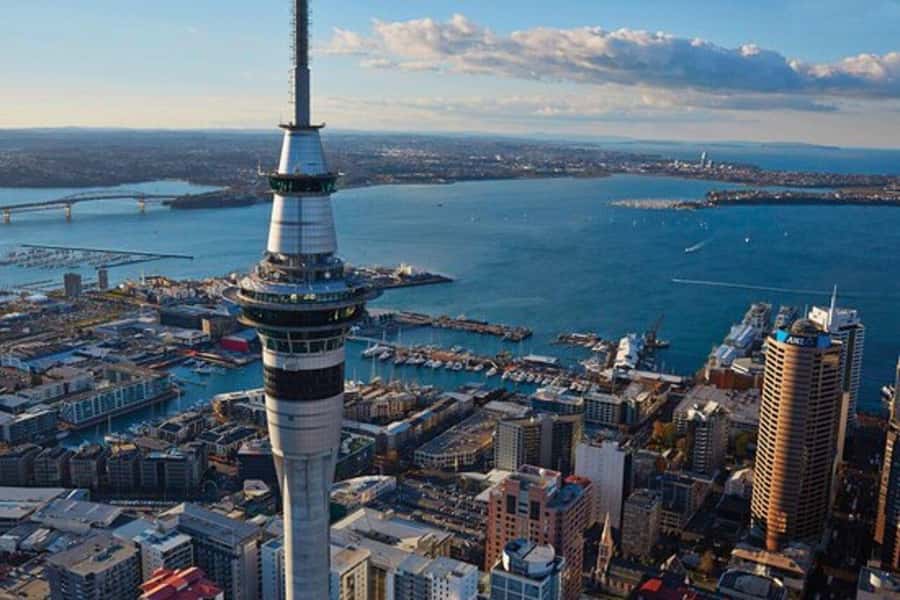 Auckland: Auckland City & Hauraki Gulf Scenic Flight - Waiheke Airport: Vineyards and Coastline Before You Even Cross the Harbor