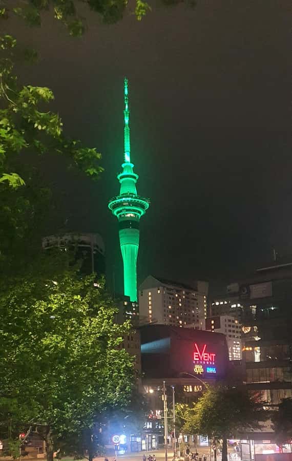 Auckland: Auckland City Tour 4 hours private - Why This 4-Hour Private Auckland Tour Feels Worth It