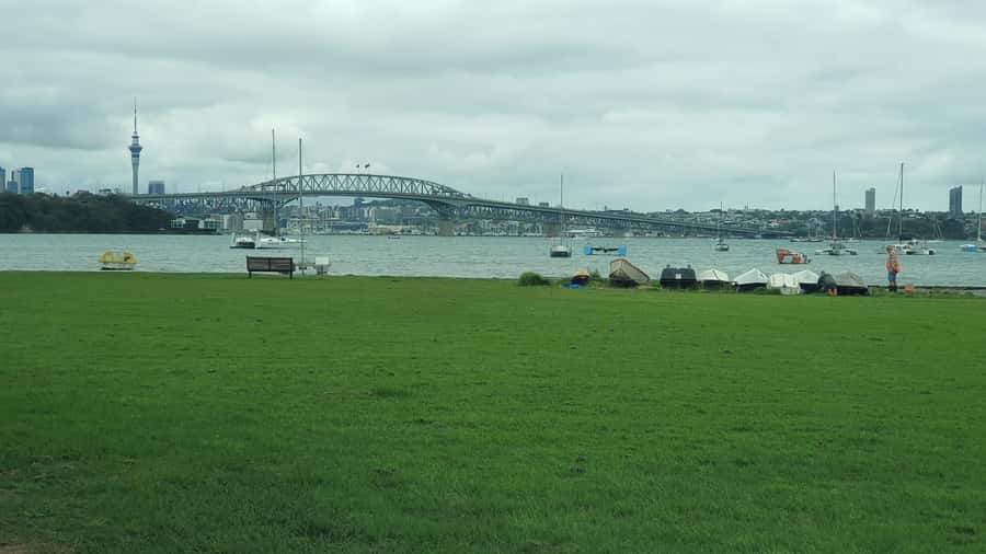 Auckland: Auckland City Tour 4 hours private - Auckland Domain + Tāmaki Paenga Hira: Gardens and Museum Time Without the Stress