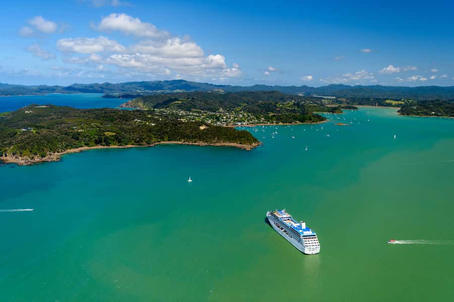 Auckland: Bay of Islands Day Tour with Dolphin Cruise - Key highlights to know before you go