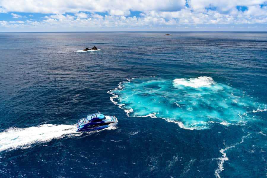 Auckland: Bay of Islands Day Tour with Dolphin Cruise - Who should book this Bay of Islands day tour from Auckland?