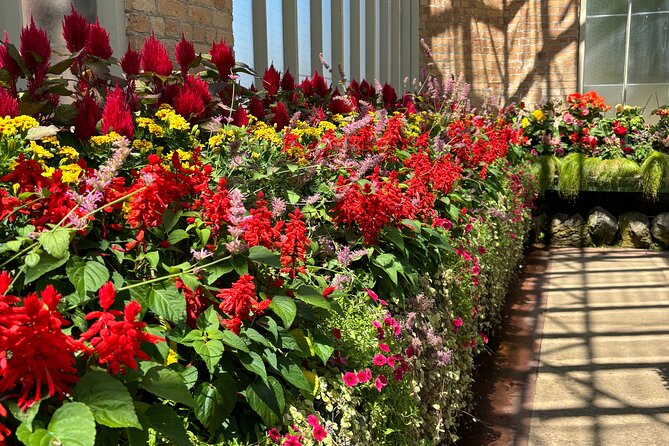 Auckland Best Top 5 Spots Half day Tour - The Domain Winter Gardens: Two Glasshouses and a Central Courtyard