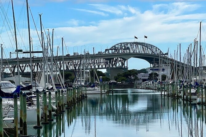 Auckland Best Top 5 Spots Half day Tour - Mission Bay: Beach Atmosphere and Rangitoto Views