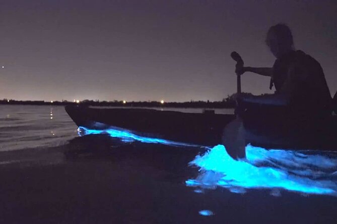 Auckland Bioluminescence Kayak Tour - Sea Sparkle in Auckland: the natural show you’re really chasing