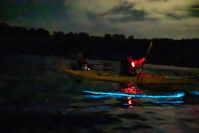 Auckland Bioluminescence Kayak Tour - Photo moments: how to capture the blue wake without wrecking your night