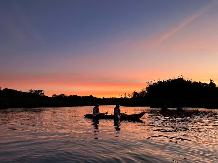 Auckland: Bioluminescence Kayak Tour with Guide - Key things to know before you book