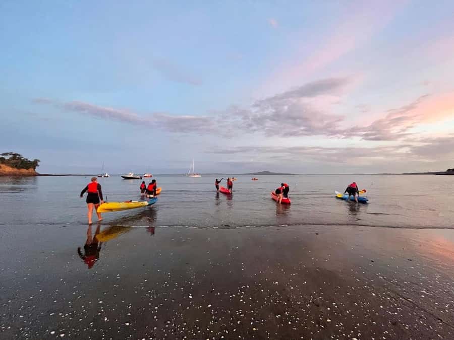 Auckland: Bioluminescence Kayak Tour with Guide - Price and Value: Is $71 a Fair Deal?
