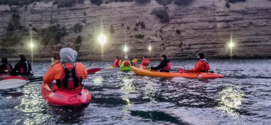 Auckland: Bioluminescence Kayak Tour with Guide - Practical Tips to Make Your Night Go Smoothly