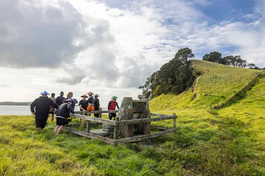 Auckland: Browns Island (Motukorea) Sea Kayak Tour - Timing and conditions: tides change the plan, wind changes your comfort