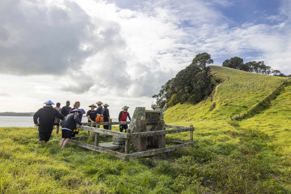 Auckland: Browns Island (Motukorea) Sea Kayak Tour - Price and value: $89 for a 4-hour water-and-volcano day