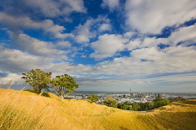 Auckland City and West Coast Full Day Tour - Parnell, Harbour Bridge, and Rangitoto: the moments that sell Auckland
