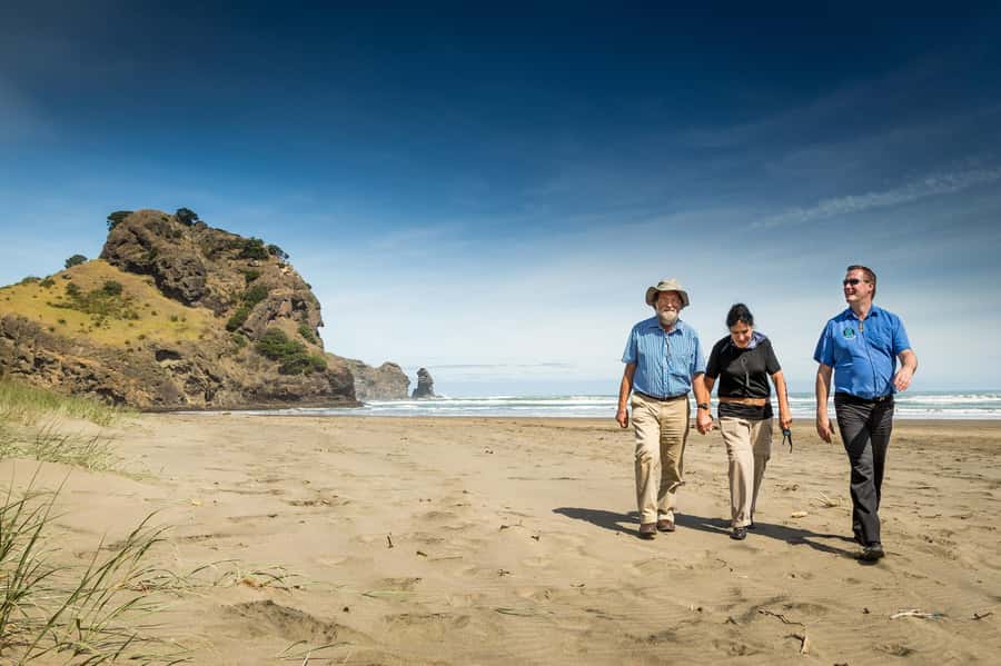 Auckland City and West Coast Luxury Tour - Luxury transportation, tight timing: how the day is built