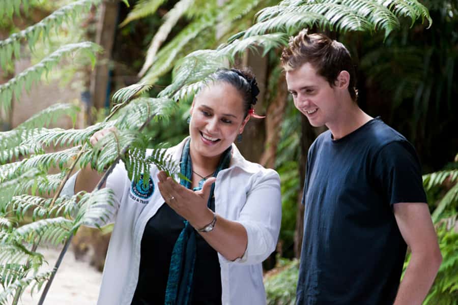 Auckland City and West Coast Luxury Tour - Arataki Visitor Centre and the Waitakere Ranges: rainforest with context