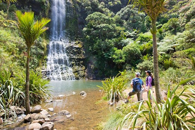 Auckland City and West Coast Luxury Tour - Manukau Harbour to the West Coast: cliffs, surf, and black sand