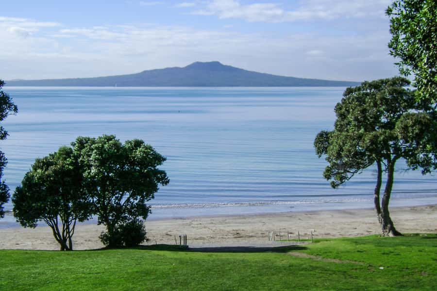 Auckland City, Beaches & Rainforest Premium Small Group Tour - Key highlights