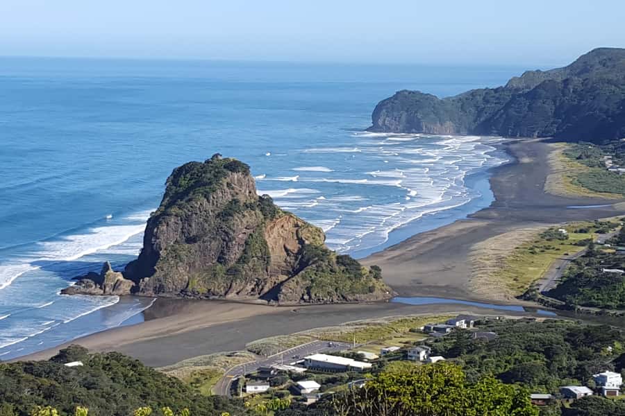 Auckland City, Beaches & Rainforest Premium Small Group Tour - Who This Tour Fits Best (and Who Might Want Something Different)