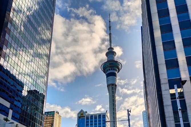 Auckland City Highlights Full Day Tour - Auckland War Memorial Museum: NZ’s first museum, extra entry fee