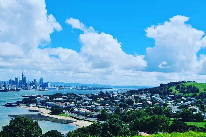 Auckland City Highlights Full Day Tour - How the route feels in real life: pace, customization, and small-group perks
