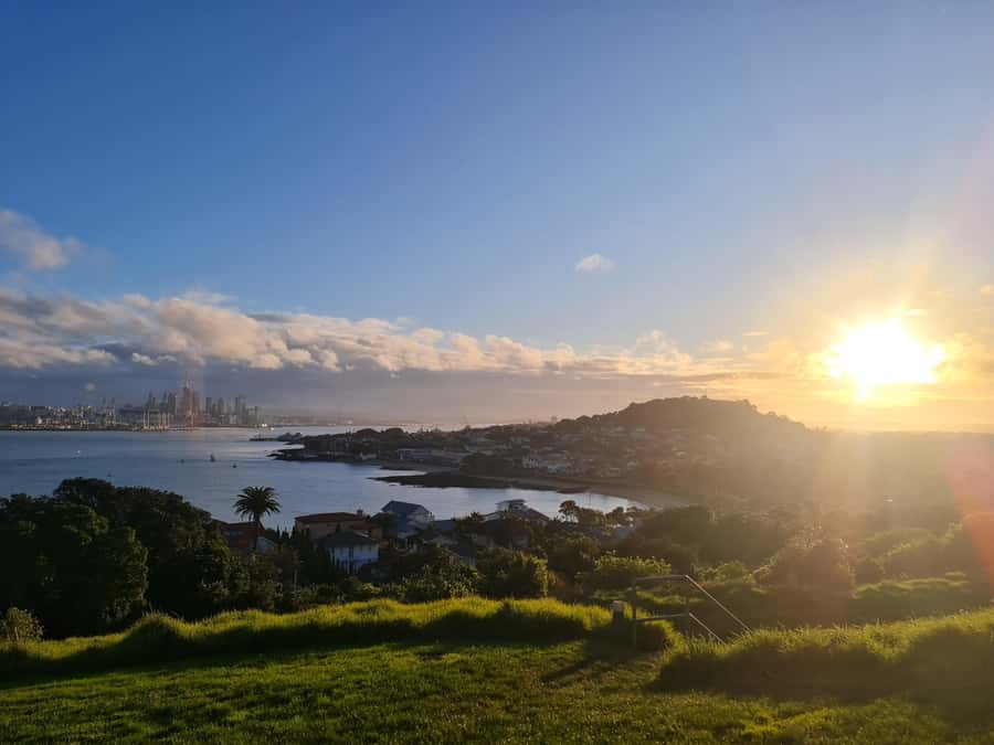 Auckland City Highlights Half Day Tour - Why This 3.5-Hour Auckland Highlights Tour Works