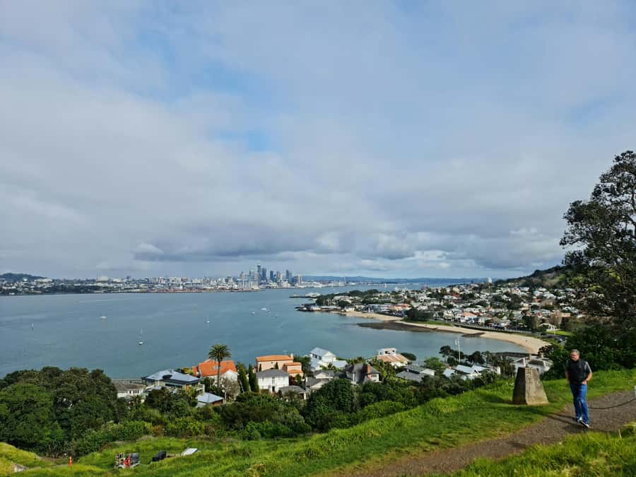 Auckland City Highlights Half Day Tour - Weather-Proofing: How Guides Handle the “Auckland Thing”