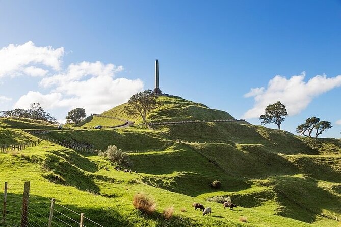 Auckland City Highlights Private Tour - A 4-hour Auckland loop that gives you your bearings fast
