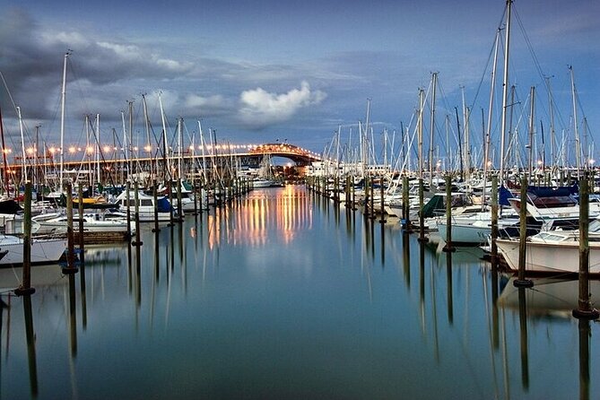 Auckland City Highlights Private Tour - Achilles Point and Rangitoto Island photos: easy drama on the west coast