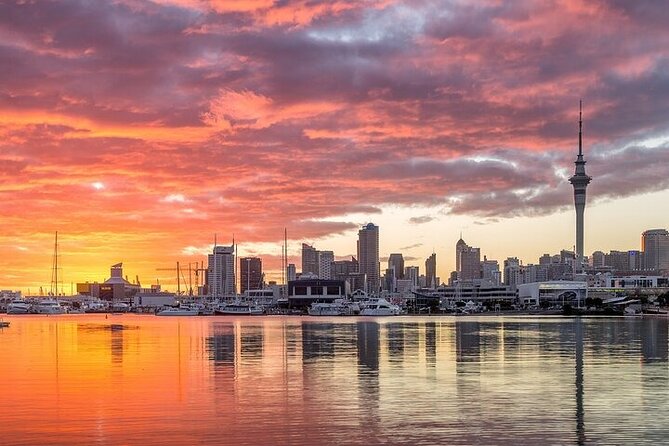 Auckland City Highlights Private Tour - Mission Bay: sandy beach time near the city