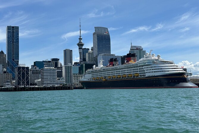 Auckland City Highlights Tour by Car or Van - Parnell Rose Gardens and the “small but useful” planning factor
