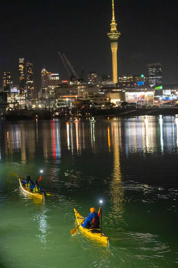 Auckland: City Lights Night Kayak Tour - Key things to know before you go